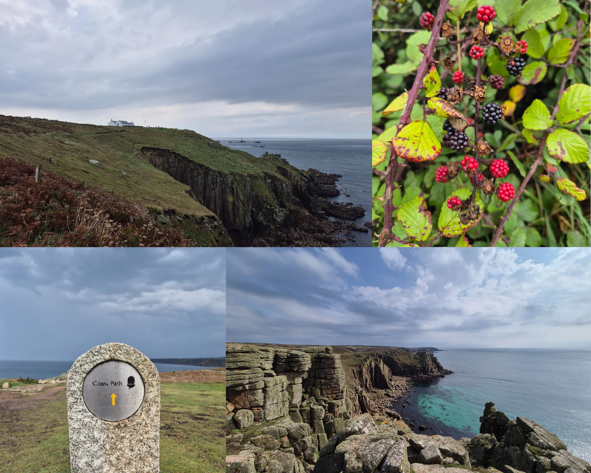 4 picture collage: Southwest Coast Path sign, coastline between Sennan Cove and Land's End with the Last House, wild blackberries, coastline between Land’s End and Nanjizal Bay