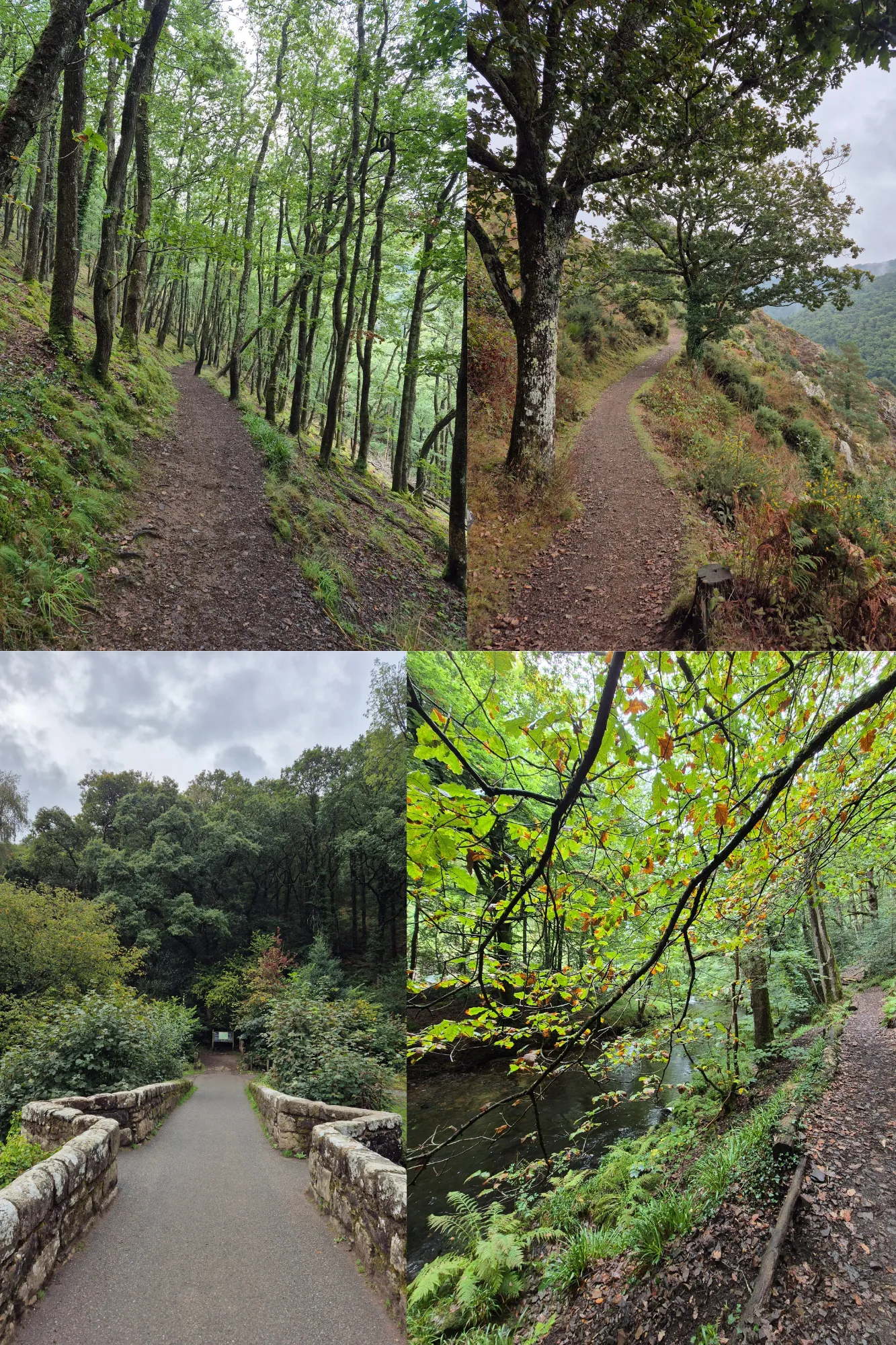 4 picture collage: different pictures of the Teign Gorge classic circuit.