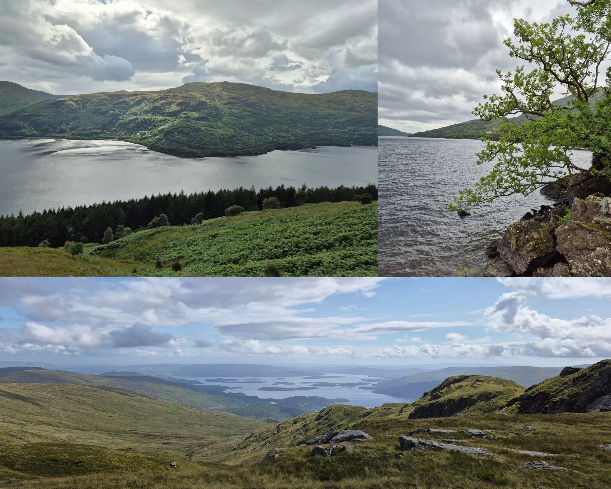 3 picture collage: Lakes and mountains view of Loch Lomond & The Trossachs National Park from Ben Lomond trail, Loch Lomond shore with tree