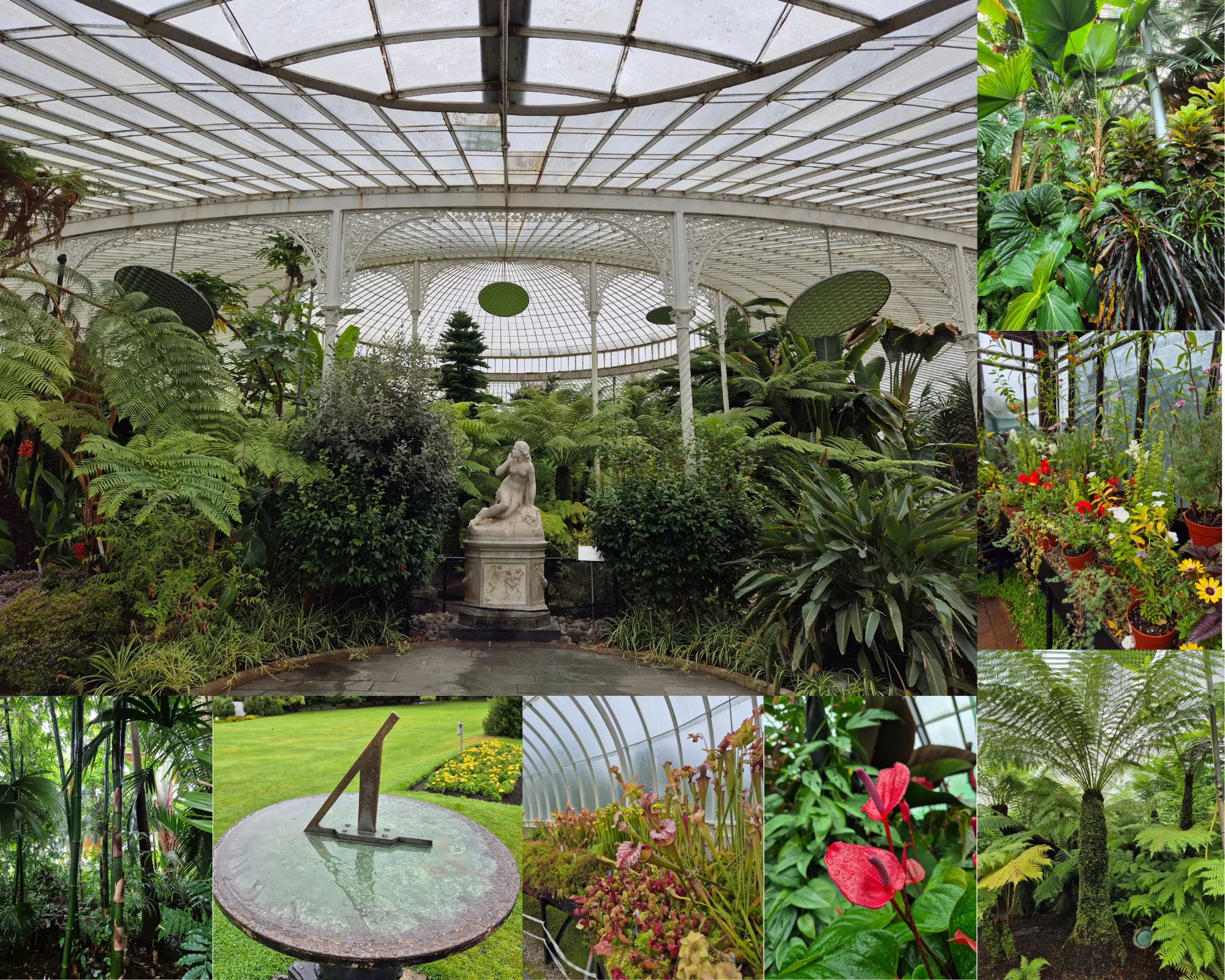 Multi-picture collage: glasshouse in Glasgow Botanical Gardens with glass ceiling and plants, many small picture of specific plants found in the glasshouses.