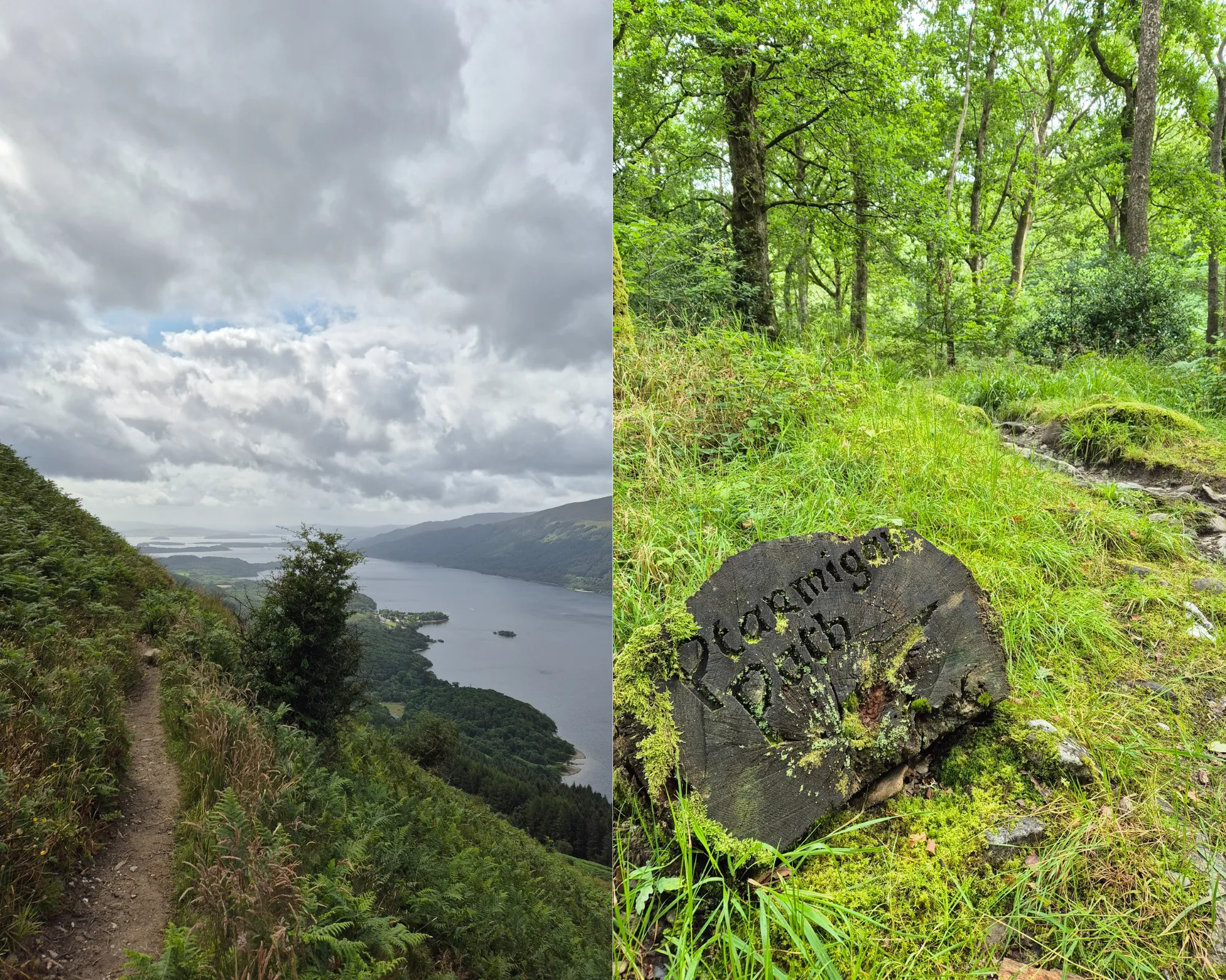 2 picture collage: view of Loch Lomond from Ptarmigan Ridge train leaving to Ben Lomond with ferms on the ground, Ptarmigan path sign carved into wooden stump surrounded by green foliage.