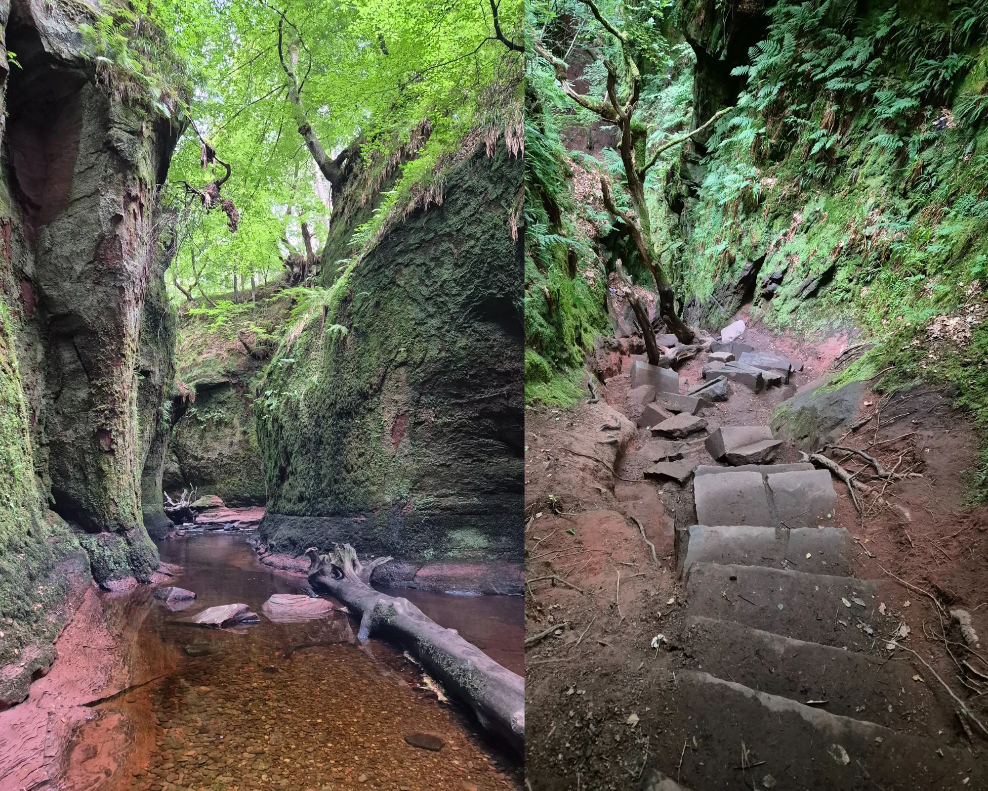 2 picture collage: Finnich Glen, a reddish sandstone gorge covered by moss with a stream cutting through it, stone stairs leading into Finnich Glen with the latter steps scattered chaotically.