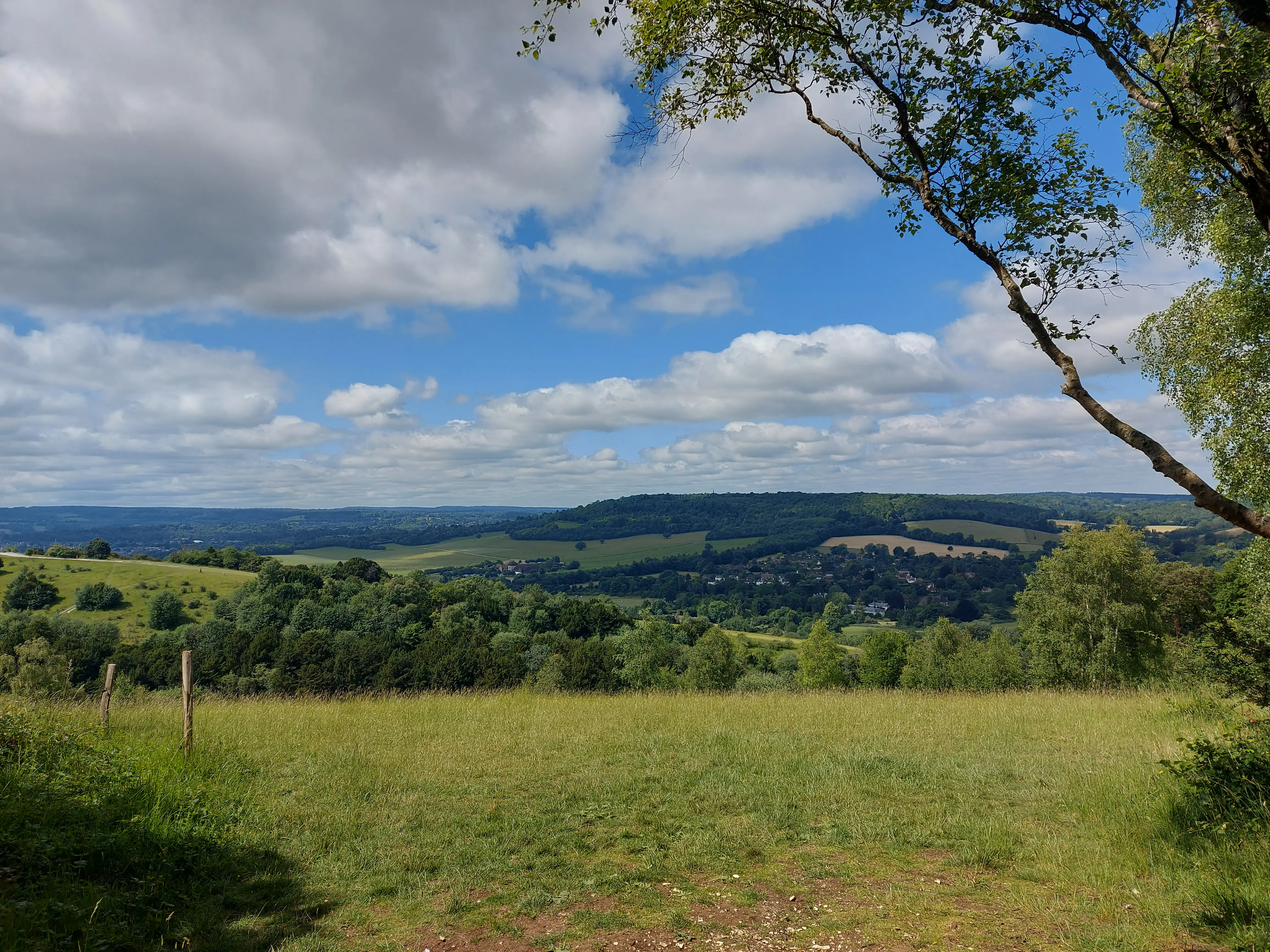 View of the Surrey Hills from the Box Hill circular
