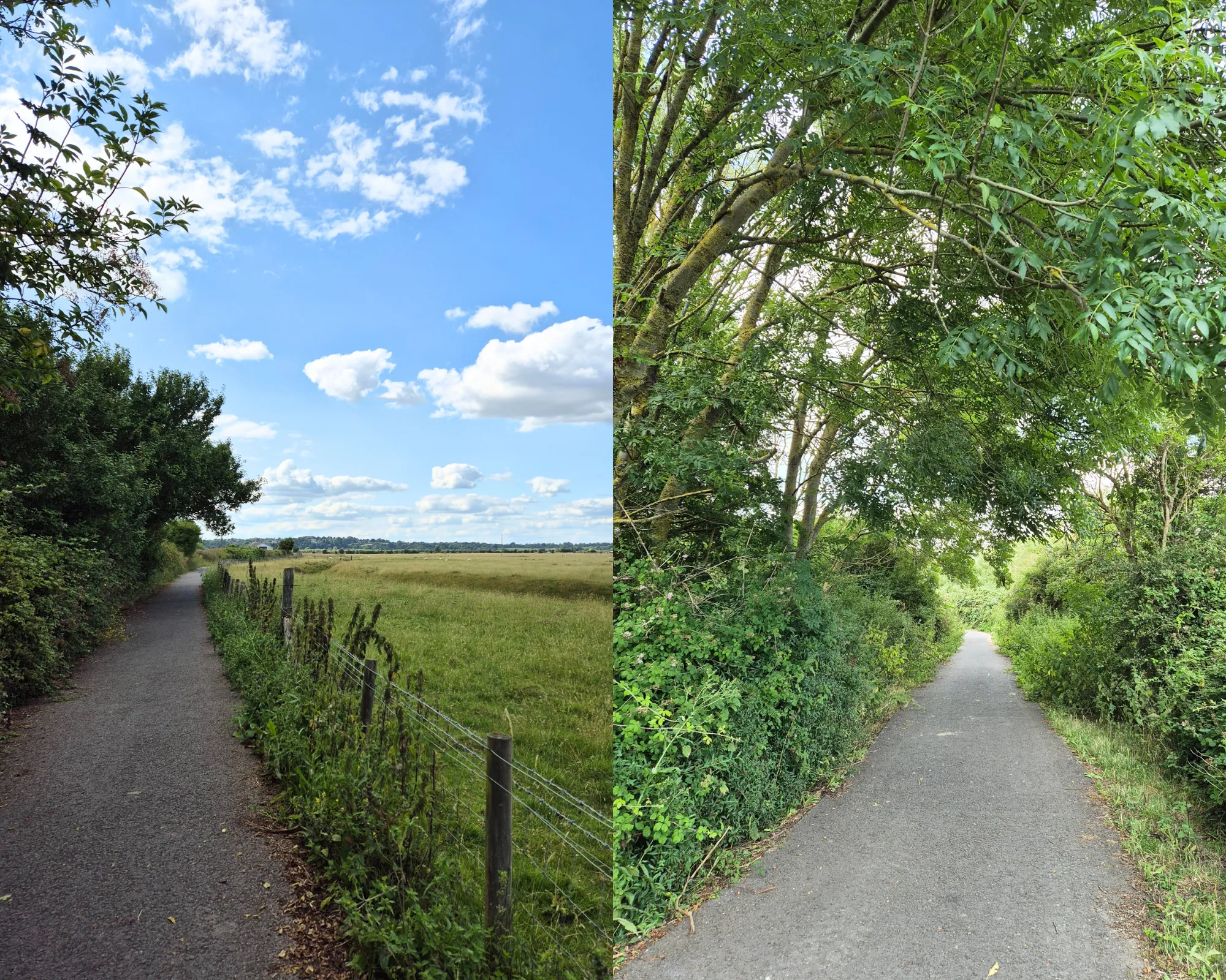 2 picture collage: paved path surrounded by green trees, paved path with trees on one side and green fields on the other.