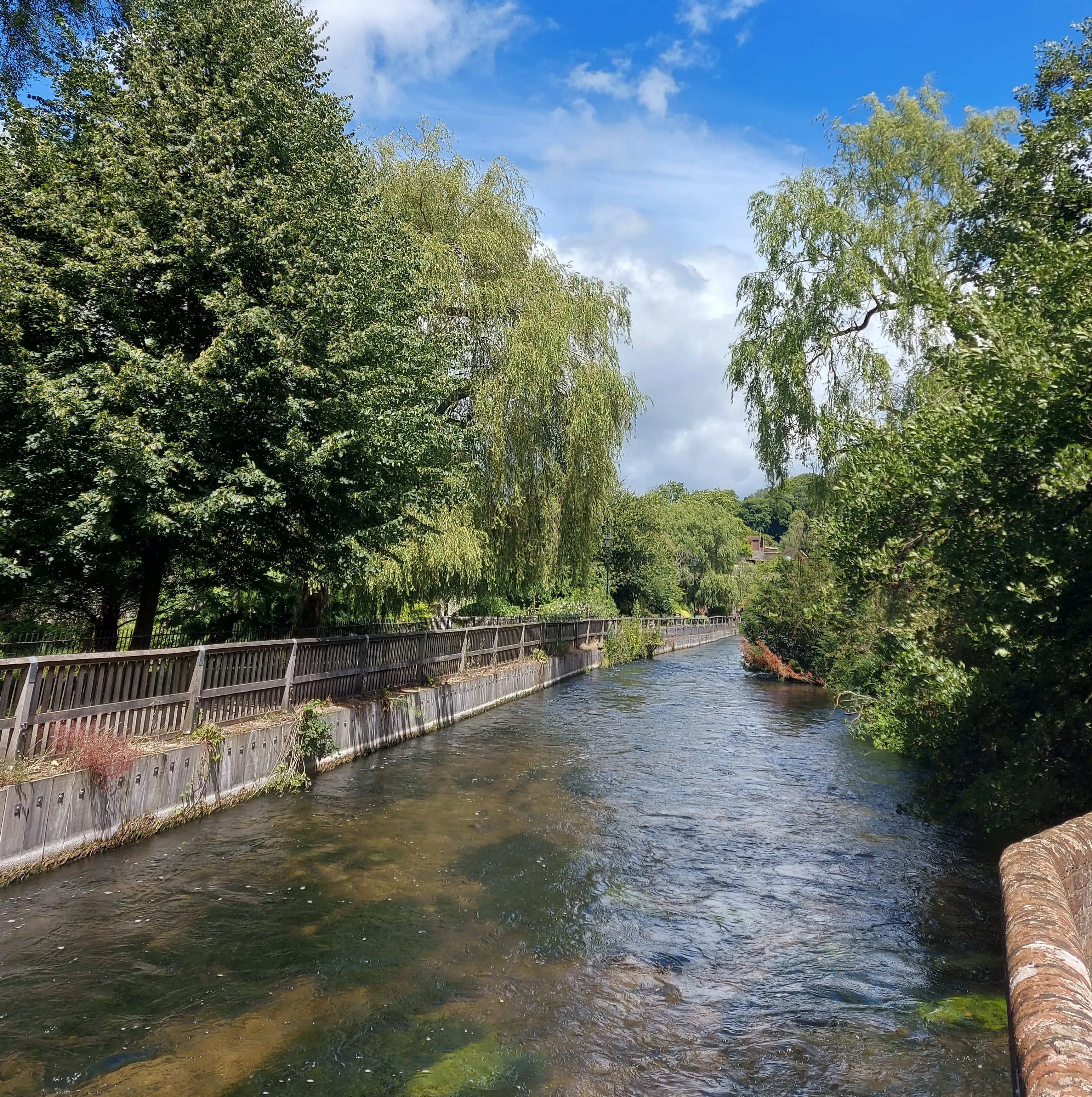 River Itchen and the trail beside it