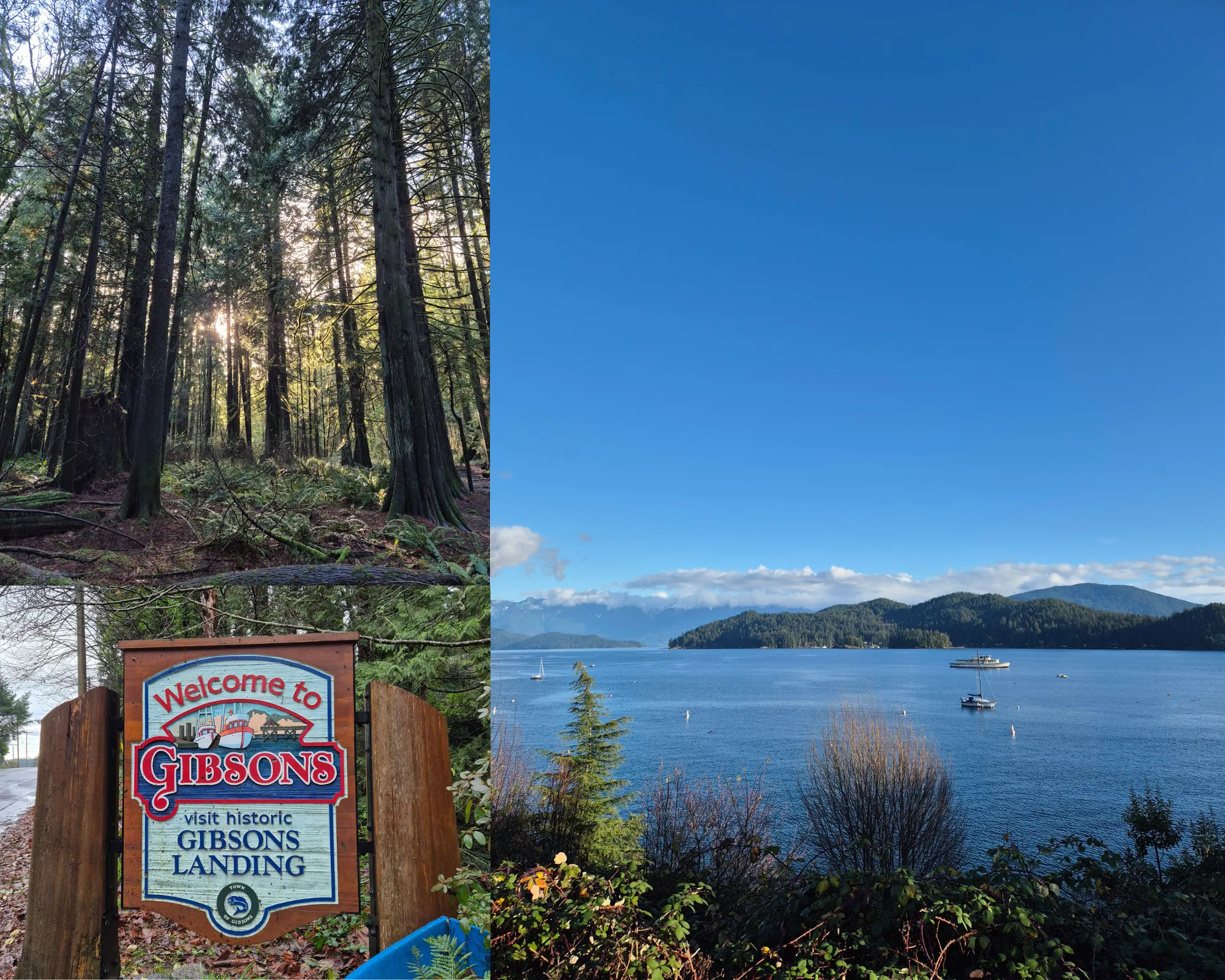 3 picture collage: Forest with tall trees and pines with the sun shinning through, Welcome to Gibsons sign, view from the coast of Gibsons on a sunny day with the sea and the mountains and islands.