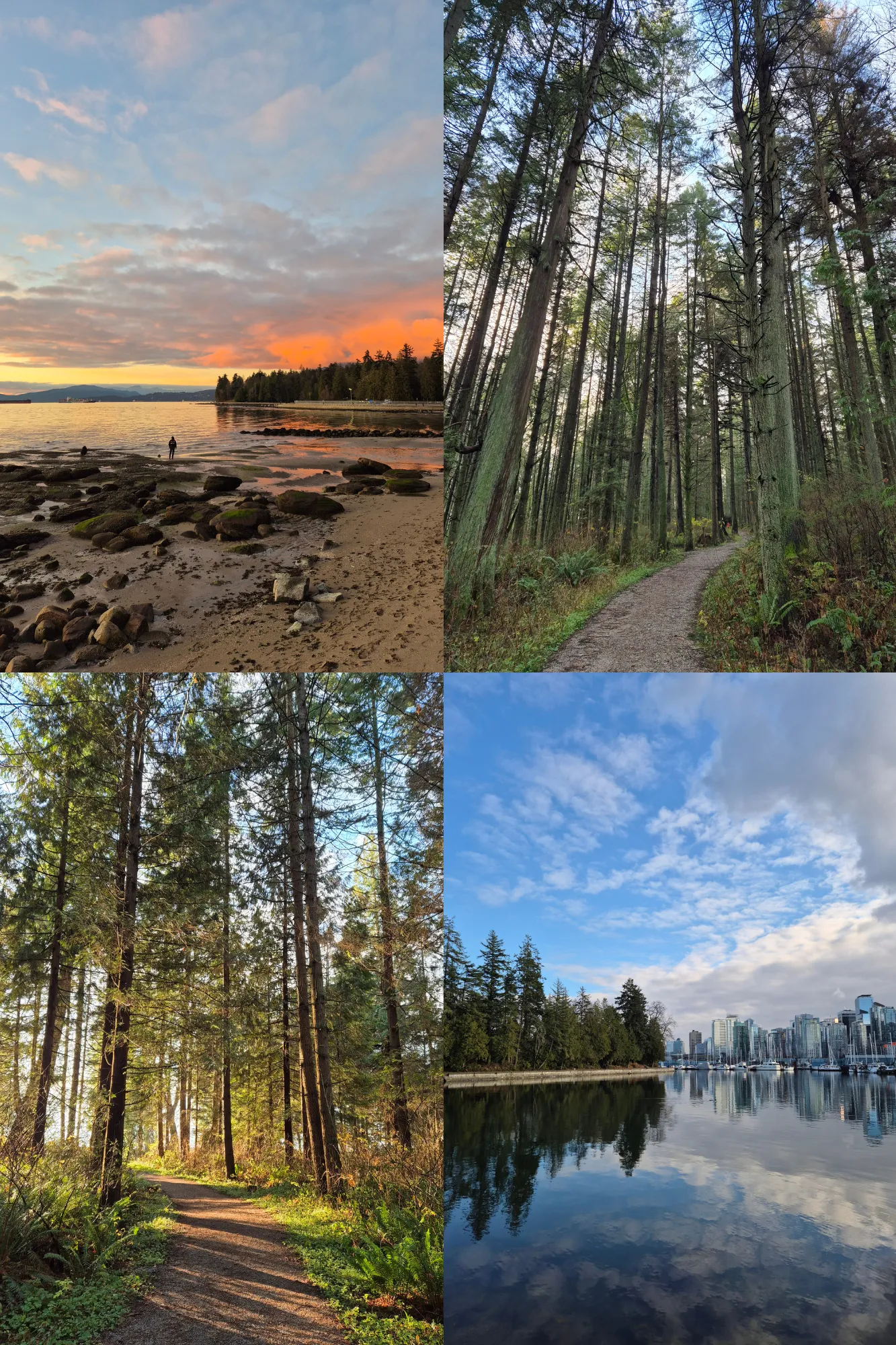 4 picture collage: Sunset from the west coast fo Stanley Park, path through the forest bathed in afternoon golden light, path through the forest, view of the water with the cityscape on the right and trees on the left.